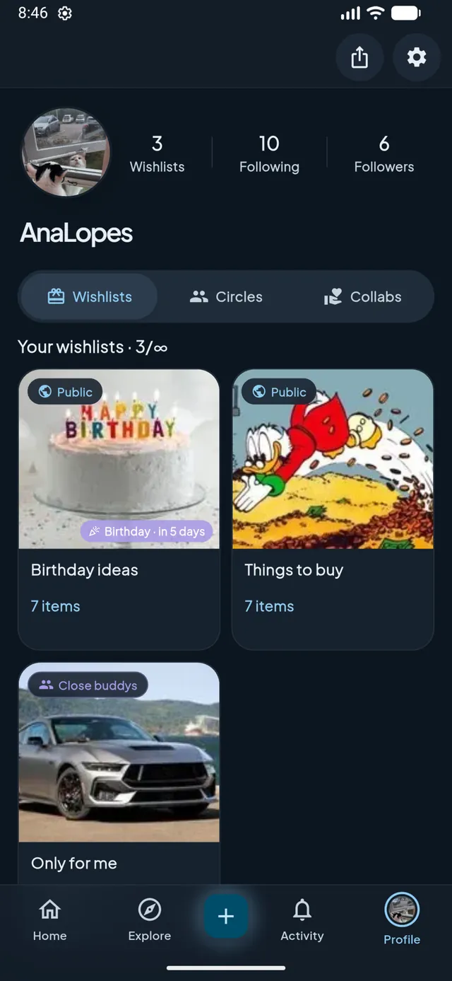 A Caelo profile with its wishlists